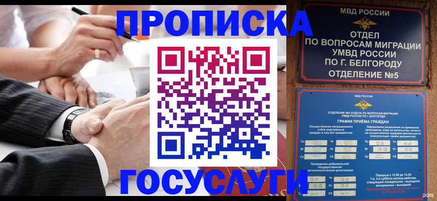 временная регистрация госуслуги в Краснодаре